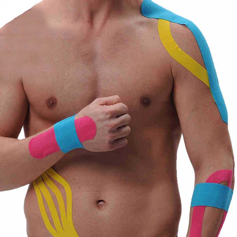 kinesiology Carnegie